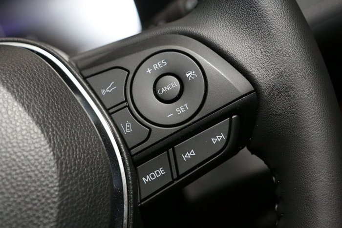 2025 Toyota RAV4 Cruiser