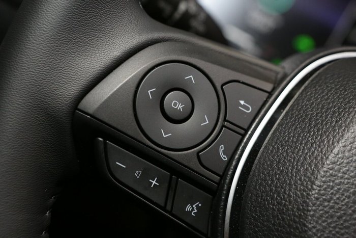 2025 Toyota RAV4 Cruiser