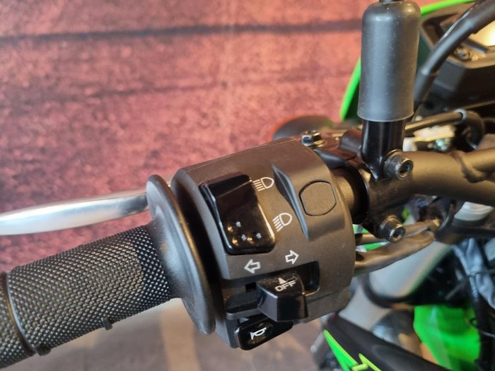 2024 Kawasaki KLX230SM KLX Green