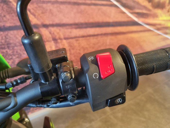 2024 Kawasaki KLX230SM KLX Green