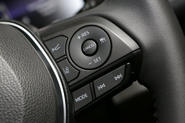 2024 Toyota RAV4 Cruiser