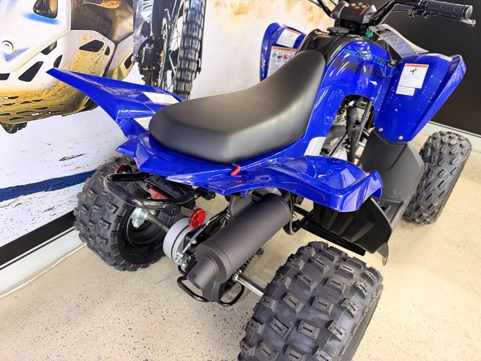 2025 Yamaha 2025 Yamaha 110CC RAPTOR ATV BLUE