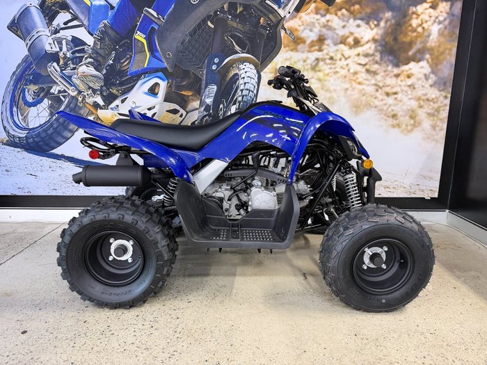 2025 Yamaha 2025 Yamaha 110CC RAPTOR ATV BLUE