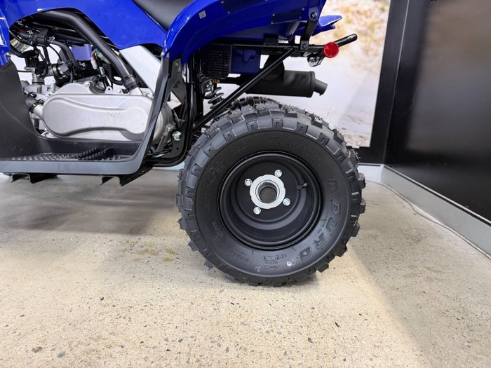 2025 Yamaha 2025 Yamaha 110CC RAPTOR ATV BLUE