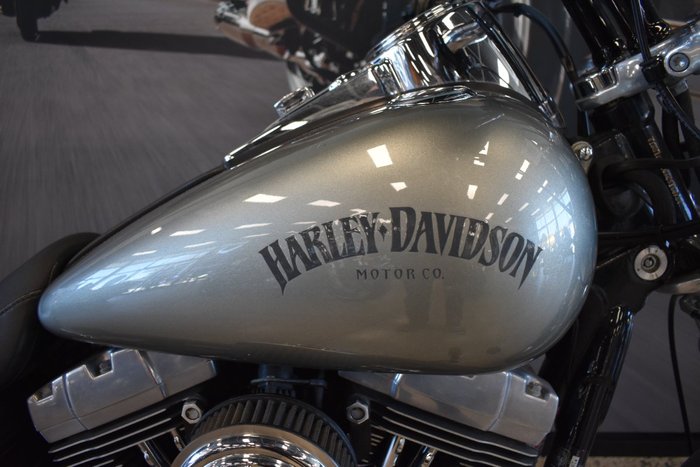 2010 Harley-davidson FXDF FAT BOB GRAY