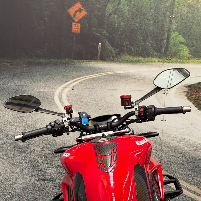 2021 DUCATI STREETFIGHTER V4 S Red