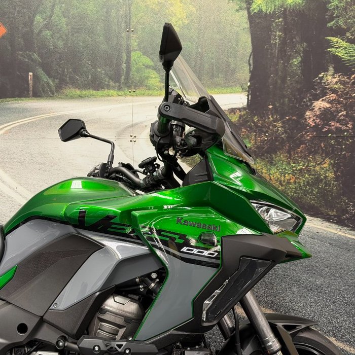2019 Kawasaki VERSYS 1000 (KLZ1000) Green