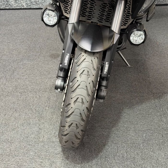 2019 Kawasaki VERSYS 1000 (KLZ1000) Green