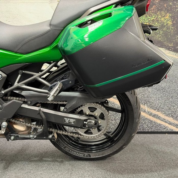2019 Kawasaki VERSYS 1000 (KLZ1000) Green