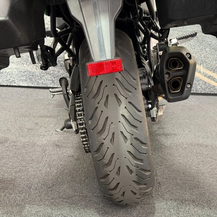 2019 Kawasaki VERSYS 1000 (KLZ1000) Green