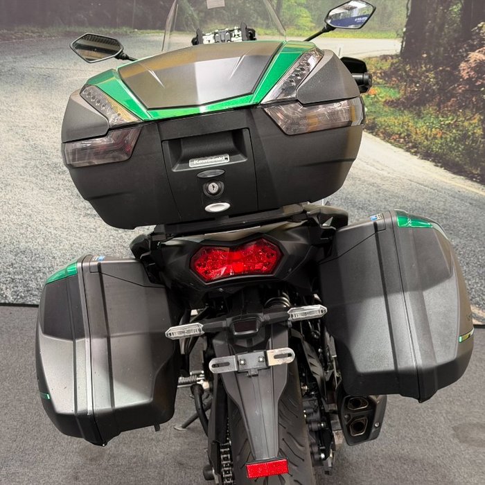 2019 Kawasaki VERSYS 1000 (KLZ1000) Green