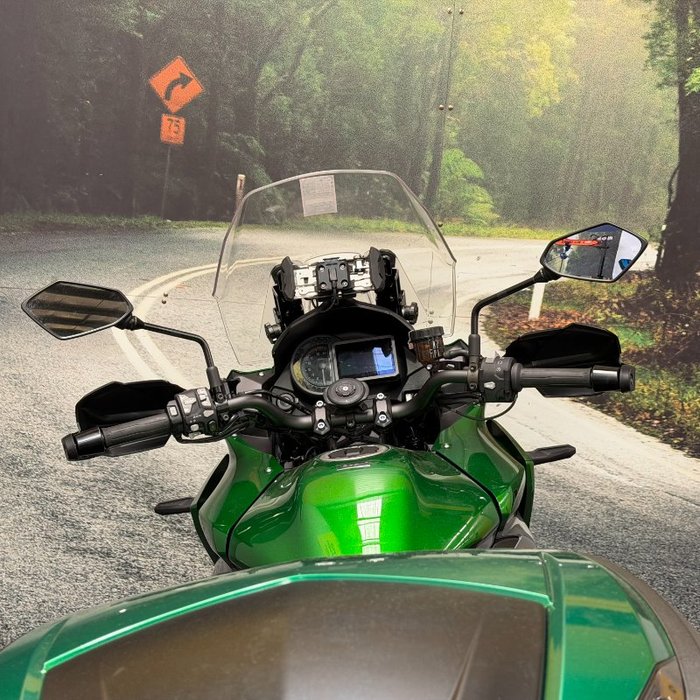 2019 Kawasaki VERSYS 1000 (KLZ1000) Green