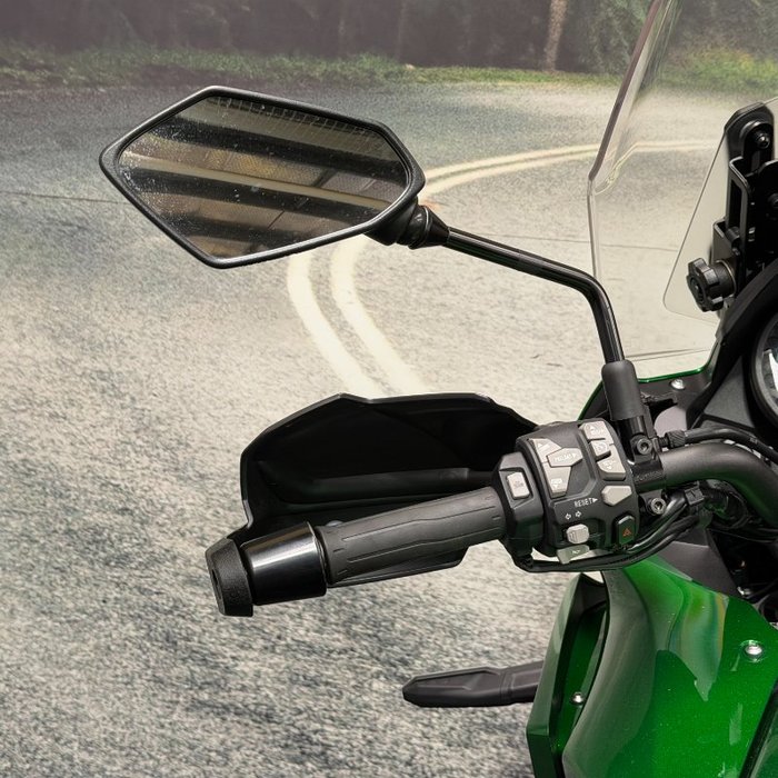 2019 Kawasaki VERSYS 1000 (KLZ1000) Green