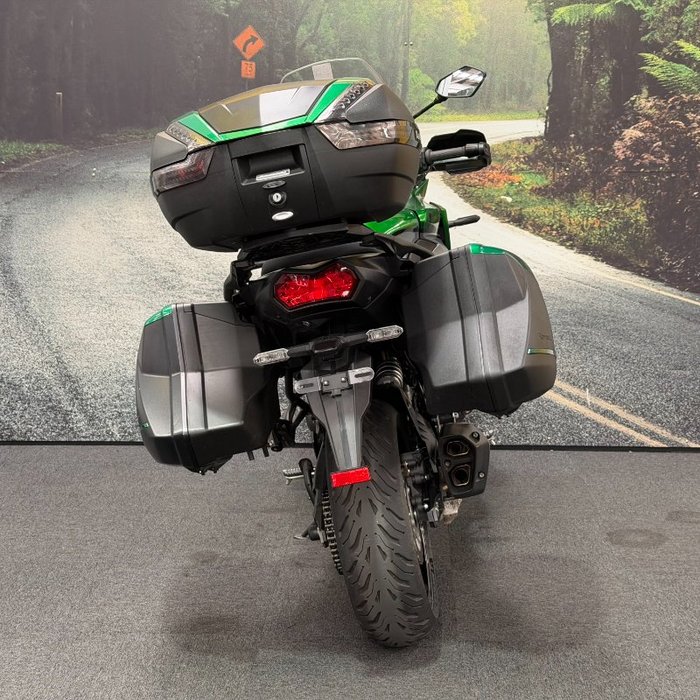 2019 Kawasaki VERSYS 1000 (KLZ1000) Green