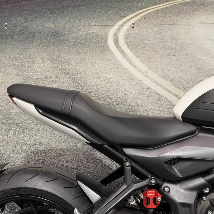 2021 Triumph TRIDENT 660 White