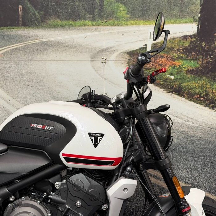 2021 Triumph TRIDENT 660 White
