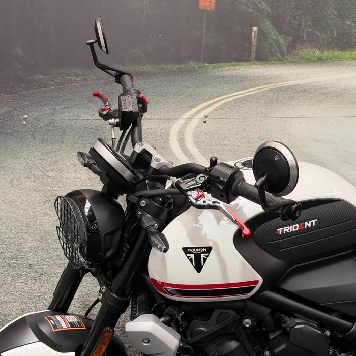 2021 Triumph TRIDENT 660 White