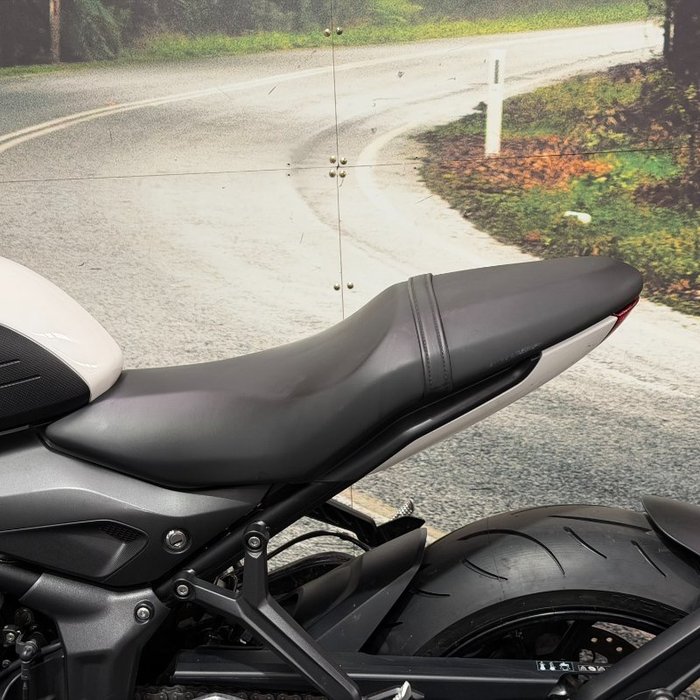 2021 Triumph TRIDENT 660 White