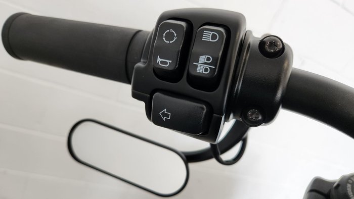 2021 Harley-Davidson Fat Bob 114 (FXFBS) Softail Black