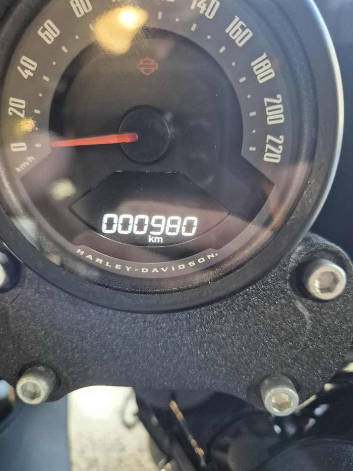 2025 Harley-Davidson Low Rider ST 117 (FXLRST)