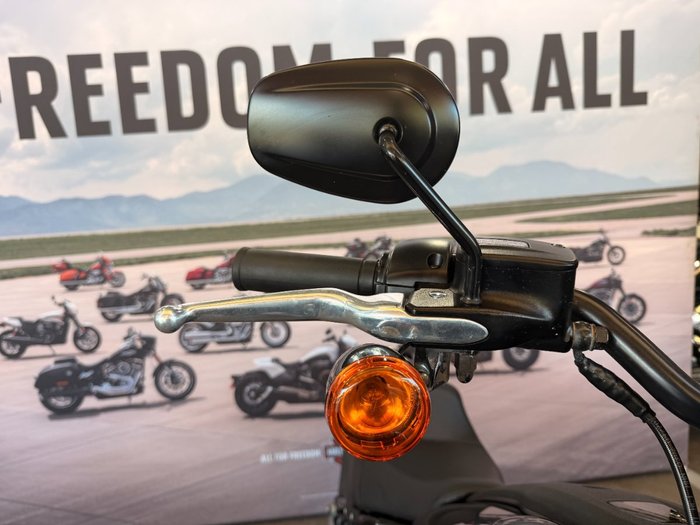 2023 Harley-davidson FXLRS LOW RIDER S (117) Black