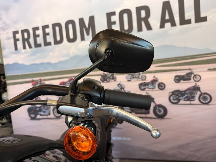 2023 Harley-davidson FXLRS LOW RIDER S (117) Black