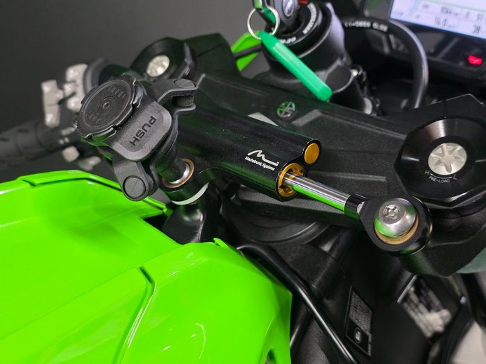 2021 Kawasaki NINJA ZX-10R Green