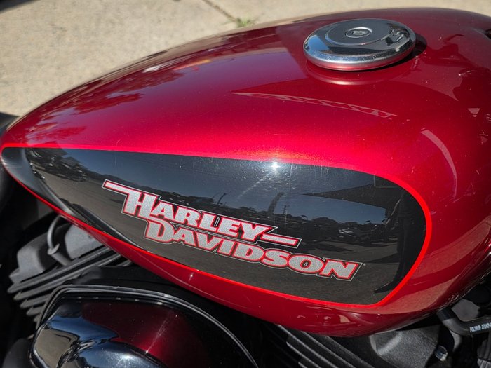 2018 HARLEY-DAVIDSON XG500 STREET 500 (TT) R