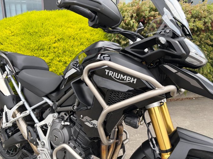 2024 Triumph TIGER 1200 GT PRO Black