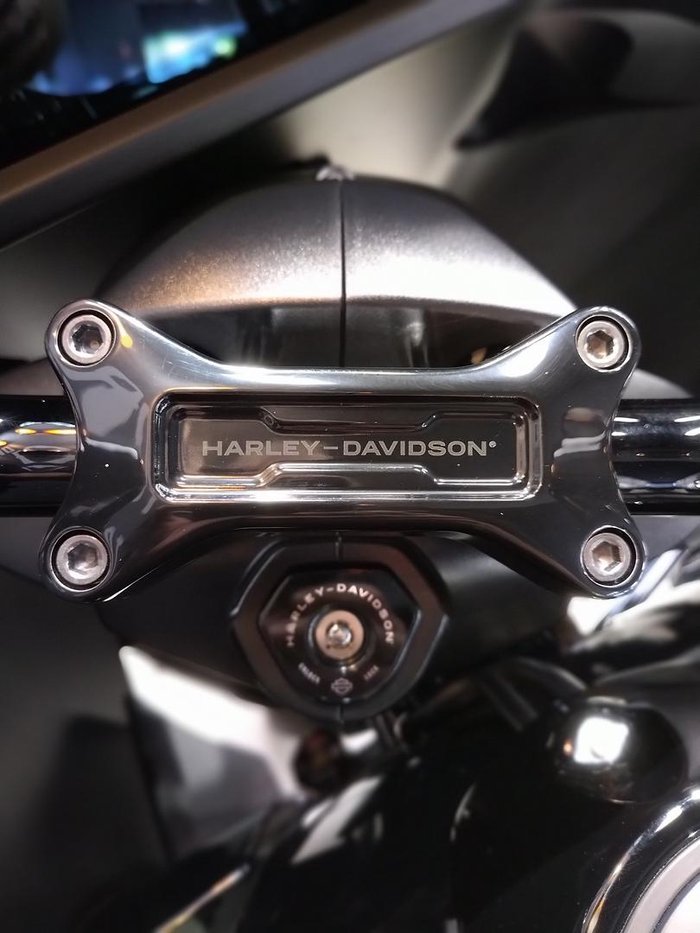 2025 Harley-Davidson Road Glide 117 (FLTRX) Touring Black