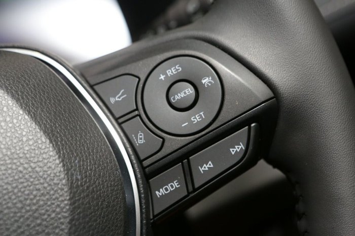 2024 Toyota RAV4 Cruiser