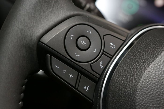 2024 Toyota RAV4 Cruiser