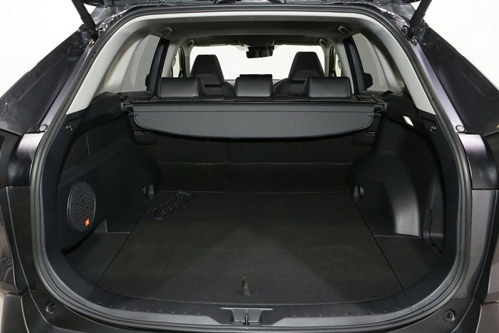 2024 Toyota RAV4 Cruiser