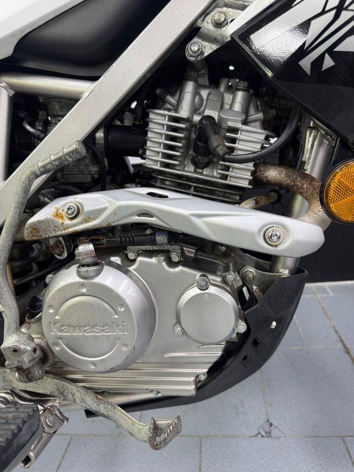 2020 Kawasaki KLX150BF (KLX150F) KLX Green