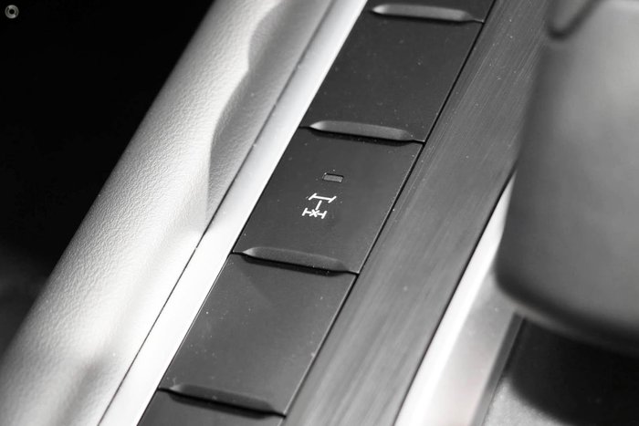 2025 GWM Cannon Premium