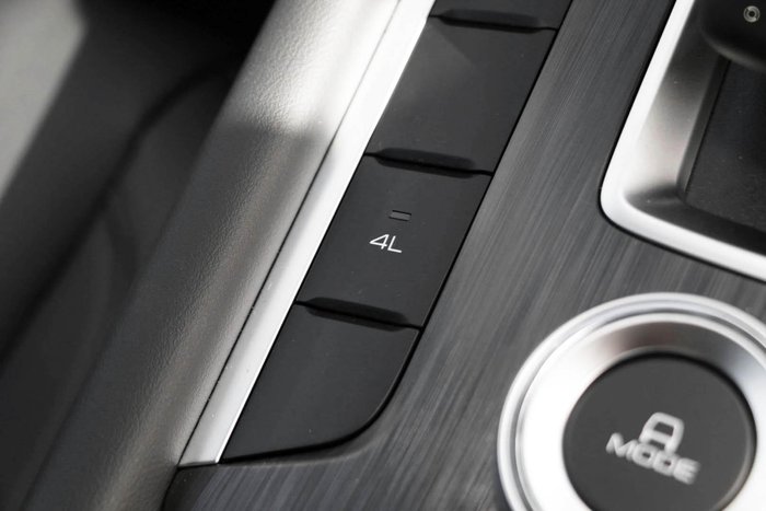 2025 GWM Cannon Premium