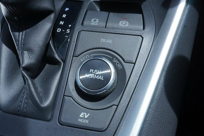 2021 Toyota RAV4 Cruiser