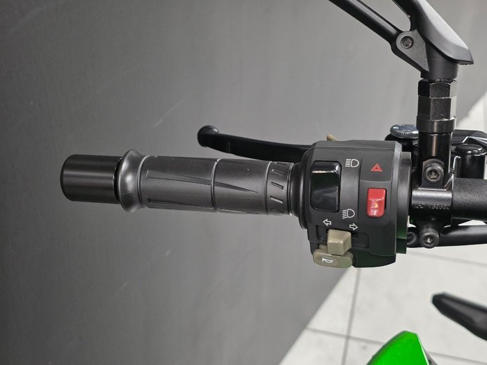 2025 Kawasaki Z1000 Grey