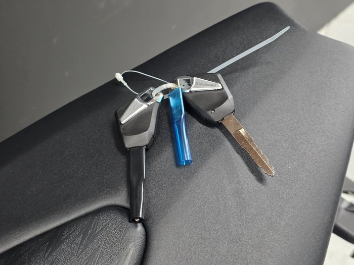 2025 Kawasaki Z1000 Grey