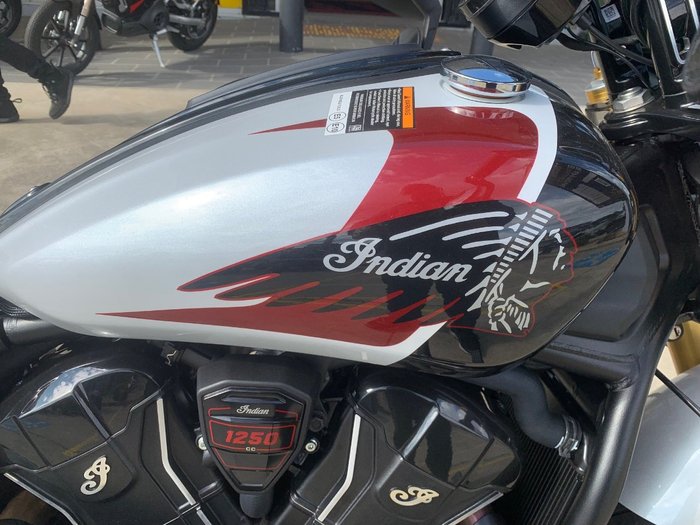 2025 Indian SCOUT 101 White