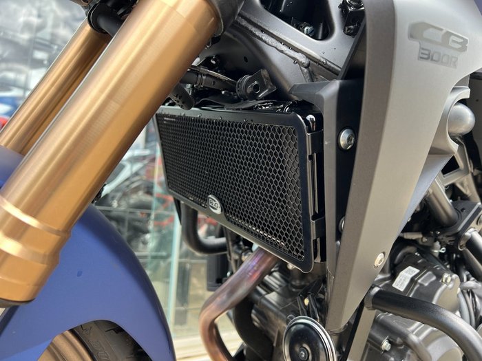 2024 Honda CB300R ABS (CBF300NA) BLUE