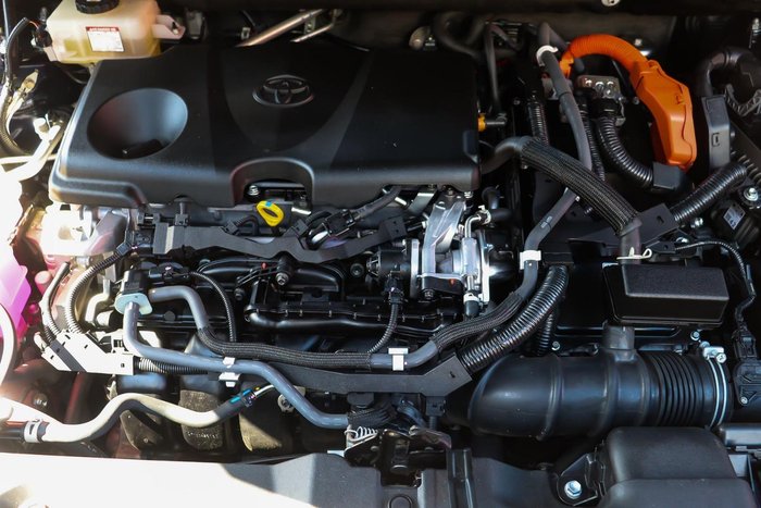 2020 Toyota RAV4 Cruiser