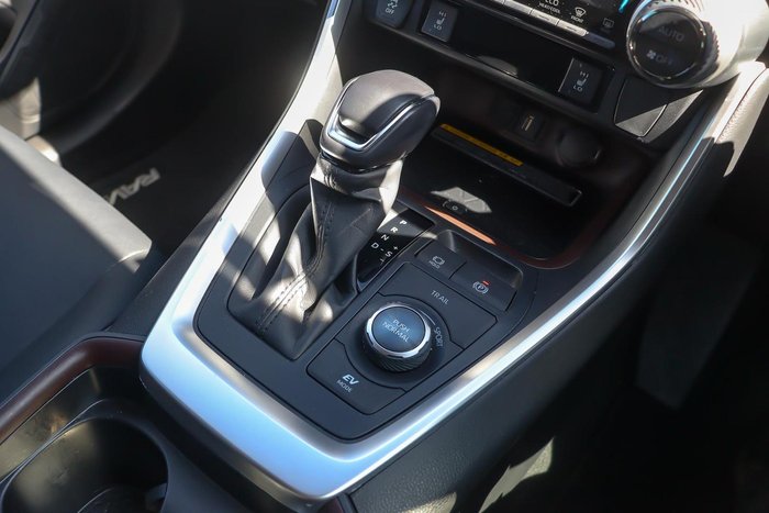 2020 Toyota RAV4 Cruiser