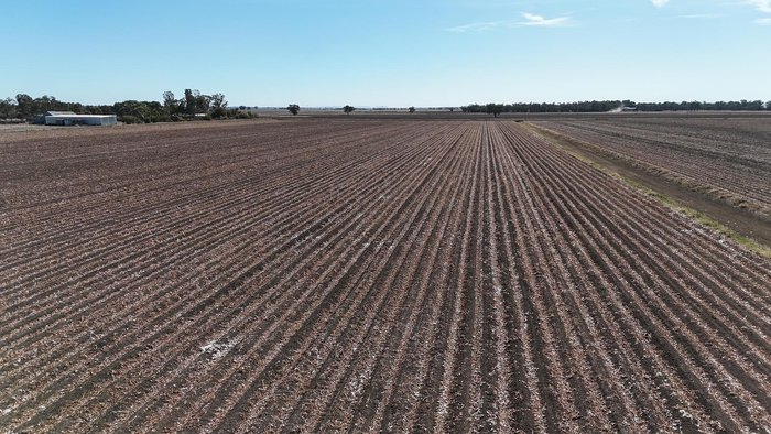 0 SERAFIN ULTISOW STPL ROW CROP SINGLE DISC SEEDER YELLOW