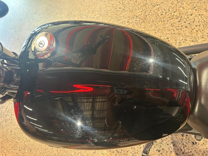 2019 Harley-Davidson Street 500 (XG500) Street Black