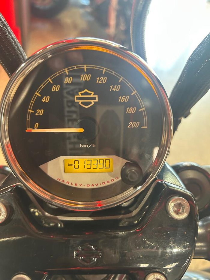 2019 Harley-Davidson Street 500 (XG500) Street Black