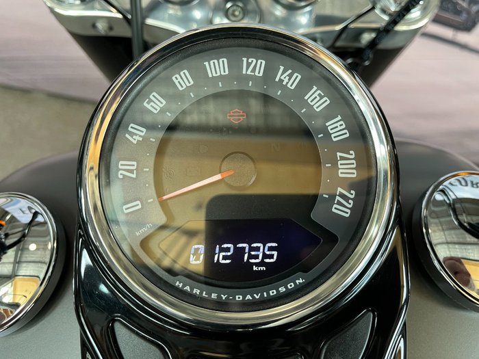 2018 Harley-davidson FLSL SOFTAIL SLIM Industrial Gray Denim