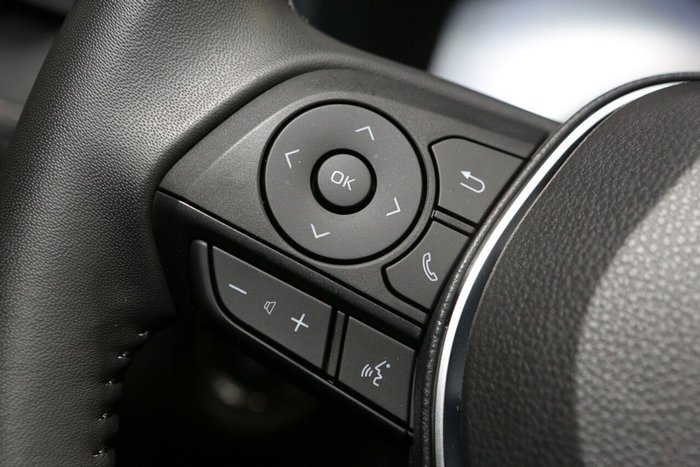 2024 Toyota RAV4 Cruiser