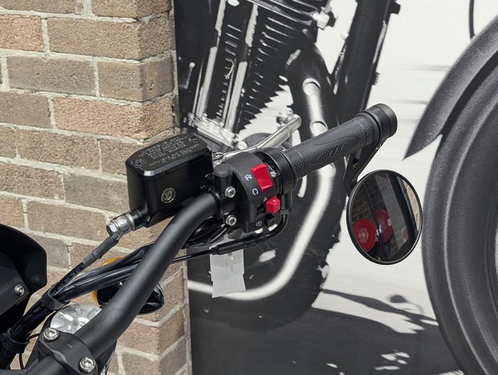 2024 Harley-Davidson X 500 X Silver