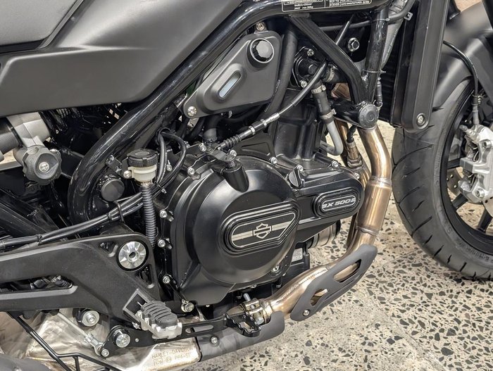 2024 Harley-Davidson X 500 X Silver